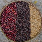 Cold Brew, la preparación de café en frio que extrae lo mejor del grano.